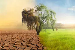 هوش مصنوعی جهان را گرم‌تر می‌کند؟