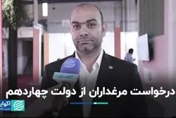 درخواست مرغ‌داران از دولت چهاردهم