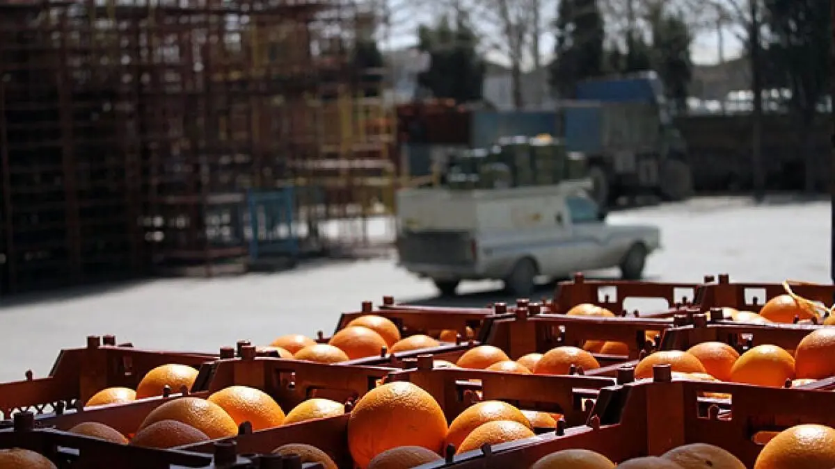 عراق مقصد اول محصولات کشاورزی در نیمه سال