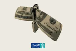 پیامک‌های ضرب‌الاجل برای بازگشت ارز، مشکل‌ساز شد