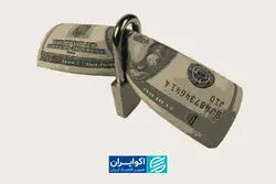 پیامک‌های ضرب‌الاجل برای بازگشت ارز، مشکل‌ساز شد
