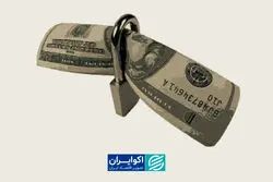 پیامک‌های ضرب‌الاجل برای بازگشت ارز، مشکل‌ساز شد
