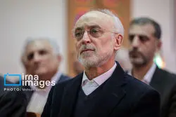 ایران باید چالش تحمیلی هسته‌ای را حل کند؛ توافق اخیر فی‌نفسه روبه‌ جلو است  