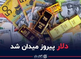 دلار پیروز میدان شد