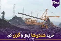 خرید هندی‌ها، زغال را گران کرد