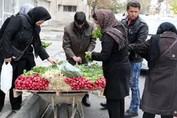 صدرنشینی «سبزی و حبوبات» در رالی تورمی آذر 1402