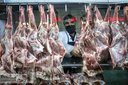 ضربه نوسانات ارزی به بازار گوشت
