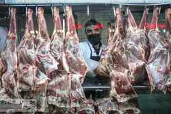 ضربه نوسانات ارزی به بازار گوشت
