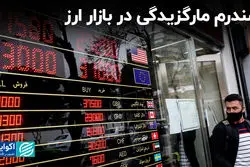 سندرم مارگزیدگی در بازار ارز