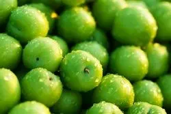 گوجه سبز ترکیه‌ای با نرخ نجومی وارد بازار شد