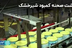  پشت صحنه کمبود شیرخشک