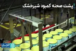  پشت صحنه کمبود شیرخشک