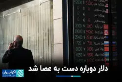 دلار دوباره دست به عصا شد