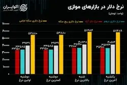 اهداف فنی سکه/ جانشین احتمالی ارز ترجیحی چیست؟