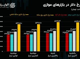 اهداف فنی سکه/ جانشین احتمالی ارز ترجیحی چیست؟