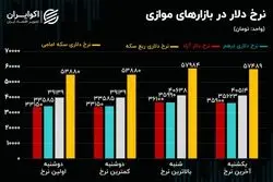 اهداف فنی سکه/ جانشین احتمالی ارز ترجیحی چیست؟
