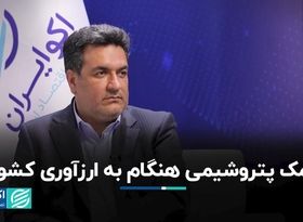 کمک پتروشیمی هنگام به ارزآوری کشور