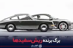 برگ برنده ریش‌سفیدها
