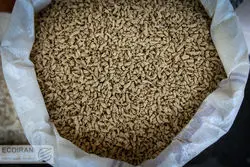 ورود 13 قلم کالا جدید به بازارگاه 