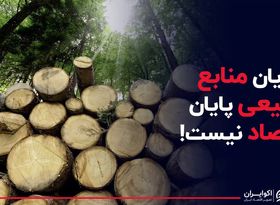 پایان منابع طبیعی پایان اقتصاد نیست 