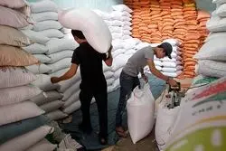 نقش رتبه بازرگانان در واردات برنج  