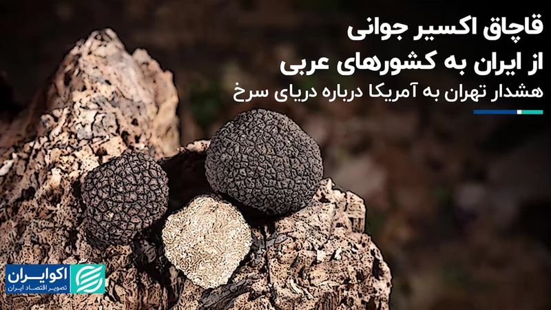 سوئد آماده درگیری با روسیه می‌شود/ اعتراض «وطن امروز» به سفیر عربستان