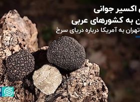 سوئد آماده درگیری با روسیه می‌شود/ اعتراض «وطن امروز» به سفیر عربستان