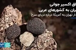سوئد آماده درگیری با روسیه می‌شود/ اعتراض «وطن امروز» به سفیر عربستان