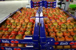 ۲۰ مقصد نخست صادرات محصولات غذایی؛ عراق در جایگاه نخست