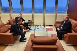 جزئیات دیدار اولیانوف با گروسی درباره وضعیت خلیج فارس 