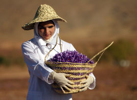 خبر خوش برای صادرکنندگان زعفران