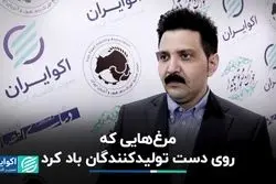 مازاد تولید مرغ روی دست تولیدکنندگان ماند