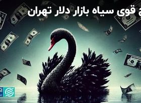 مشاهده شدن پنج قوی سیاه در بازار دلار