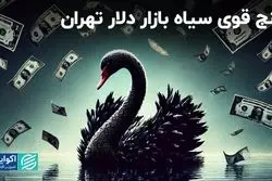 مشاهده شدن پنج قوی سیاه در بازار دلار