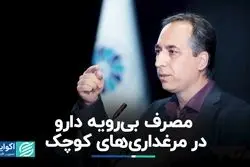 مصرف بی‌رویه دارو در مرغداری‌های کوچک