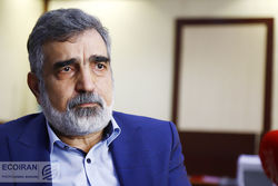  واکنش سازمان انرژی اتمی به اظهارات وزیر خارجه آمریکا؛ ایران تنها کشوری نیست که غنی‌سازی می‌کند و سلاح هسته‌ای ندارد