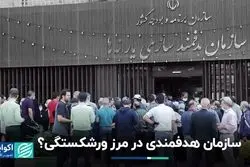 سازمان هدفمندی در لبه مرز؟