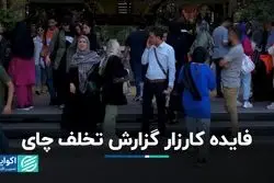 فایده کارزار تخلف چای؛ ناامنی محیط برای متخلفان بعدی