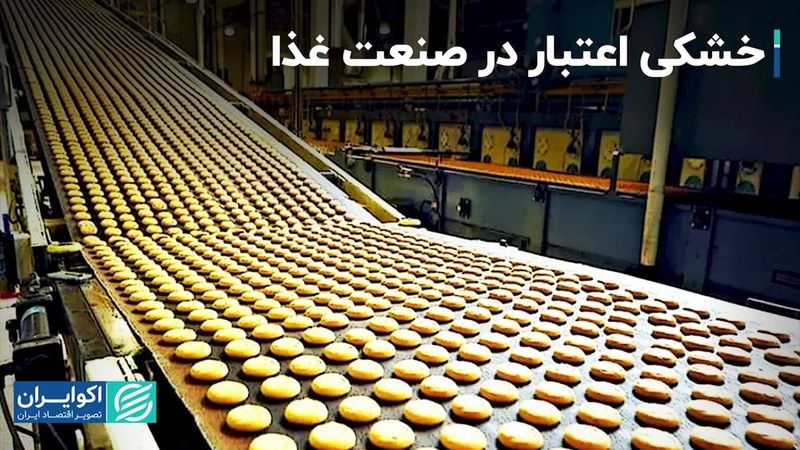 اثرات کمبود نقدینگی بر مسیر فعالیت صنایع غذایی