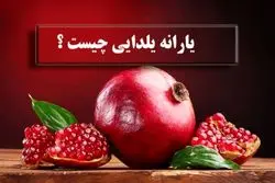 یارانه 4میلیونی یلدایی در راه است؟ + همه واریزی های دولت تا یلدا