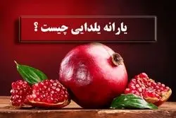 یارانه 4میلیونی یلدایی در راه است؟ + همه واریزی های دولت تا یلدا