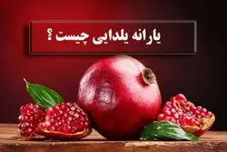 یارانه 4میلیونی یلدایی در راه است؟ + همه واریزی های دولت تا یلدا