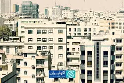 چرا وام ۲ میلیاردی نتوانست «تسه» را گران کند؟