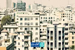 چرا وام ۲ میلیاردی نتوانست «تسه» را گران کند؟
