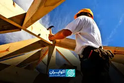 چوب در کانون بحران ساخت‌وساز؛ پشت پرده جهش ۲۰۸ درصدی قیمت‌ها چیست؟