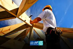 چوب در کانون بحران ساخت‌وساز؛ پشت پرده جهش ۲۰۸ درصدی قیمت‌ها چیست؟
