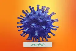 کرونا از آستانه هشدار عبور کرد؛ اعلام آخرین وضعیت کووید-۱۹ در ایران