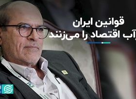 قوانین ایران زیرآب اقتصاد را می‌زنند 