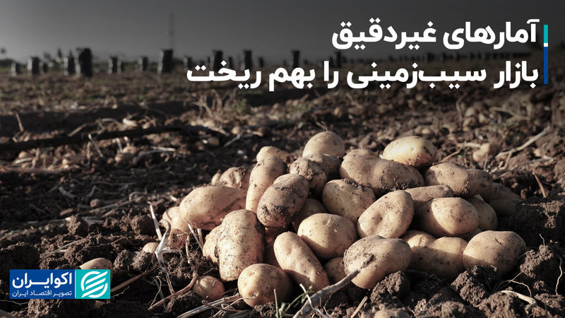  افزایش قیمت حبوبات به دلیل تغییر نرخ ارز؛ برنج بدون تغییر باقی ماند