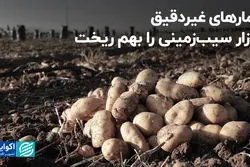  افزایش قیمت حبوبات به دلیل تغییر نرخ ارز؛ برنج بدون تغییر باقی ماند